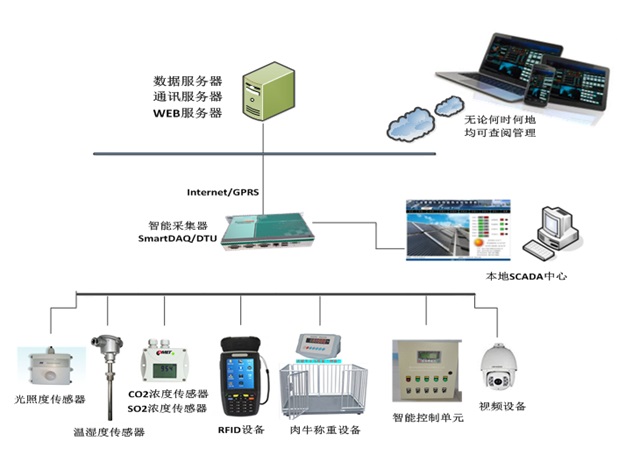 农业物联网肉牛智慧养殖系统方案